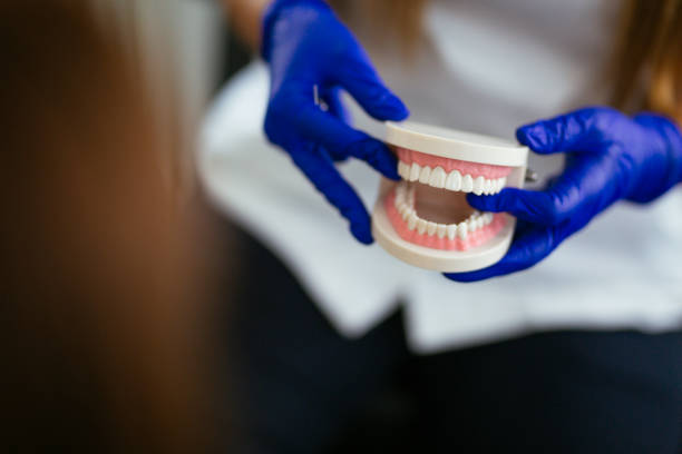 Best Pediatric Dentistry  in Mequon, WI